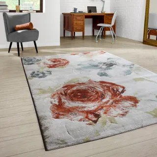 【范登伯格】歐斯特 都會流行進口地毯-花朵(160x230cm)