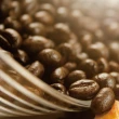 【Krone 皇雀咖啡】瓜地馬拉-安提瓜 花神咖啡豆半磅 / 227g(嚴選地區單品咖啡豆)