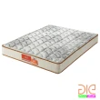 【aie】天絲棉+竹碳紗+記憶膠蜂巢式獨立筒床墊-雙人5尺(實惠型)