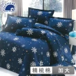 【幸福晨光】精梳棉六件式兩用被床罩組 / 初冬之雪 台灣製(加大)