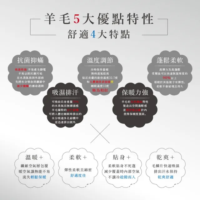 【ISHUR 伊舒爾】發熱羊毛被 單人1.7kg 台灣製造 100%舒柔透氣表布(贈束口防潮棉被袋/冬被/棉被/被子)