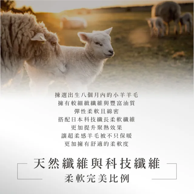【ISHUR伊舒爾】發熱羊毛被 單人1.7kg 台灣製造 100%舒柔透氣表布(贈束口防潮棉被袋/棉被/被子)