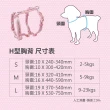【HELLO KITTY】寵物H型胸背+牽繩 M號(大頭款 紅/粉/紫)
