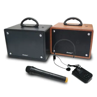【Dennys】USB/SD/FM藍芽多功能擴大音箱-無線麥克風版(WS-350BT)
