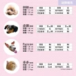【HELLO KITTY】寵物H型胸背+牽繩 L號(大頭款 紅/粉/紫)
