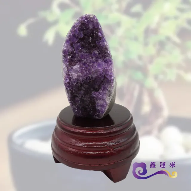 【鑫運來】天然意象招財紫晶鎮(100g以上隨機出貨)