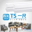【ADATA 威剛】5W 1尺 T5 LED 層板支架燈/層板燈-30入組
