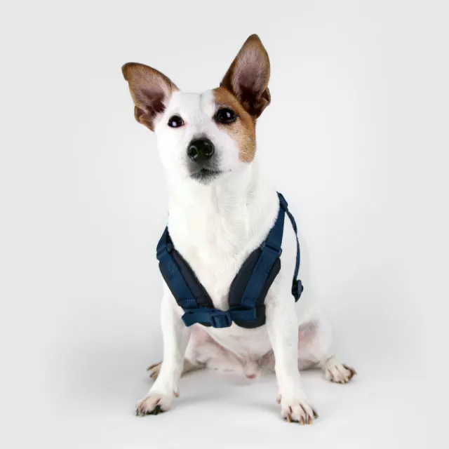 【SPUTNIK 斯普尼克】寵物胸背帶Harness-S+(寵物胸背帶/狗狗適用/寵物外出用品)