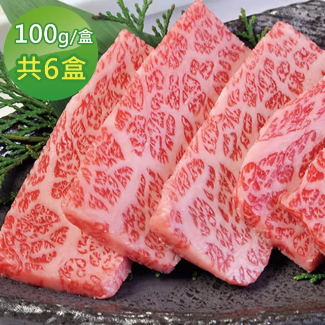 【好神】日本頂級和牛霜降肉片6盒組(約11-14片-100g/盒/中秋烤肉/火鍋/燒烤)