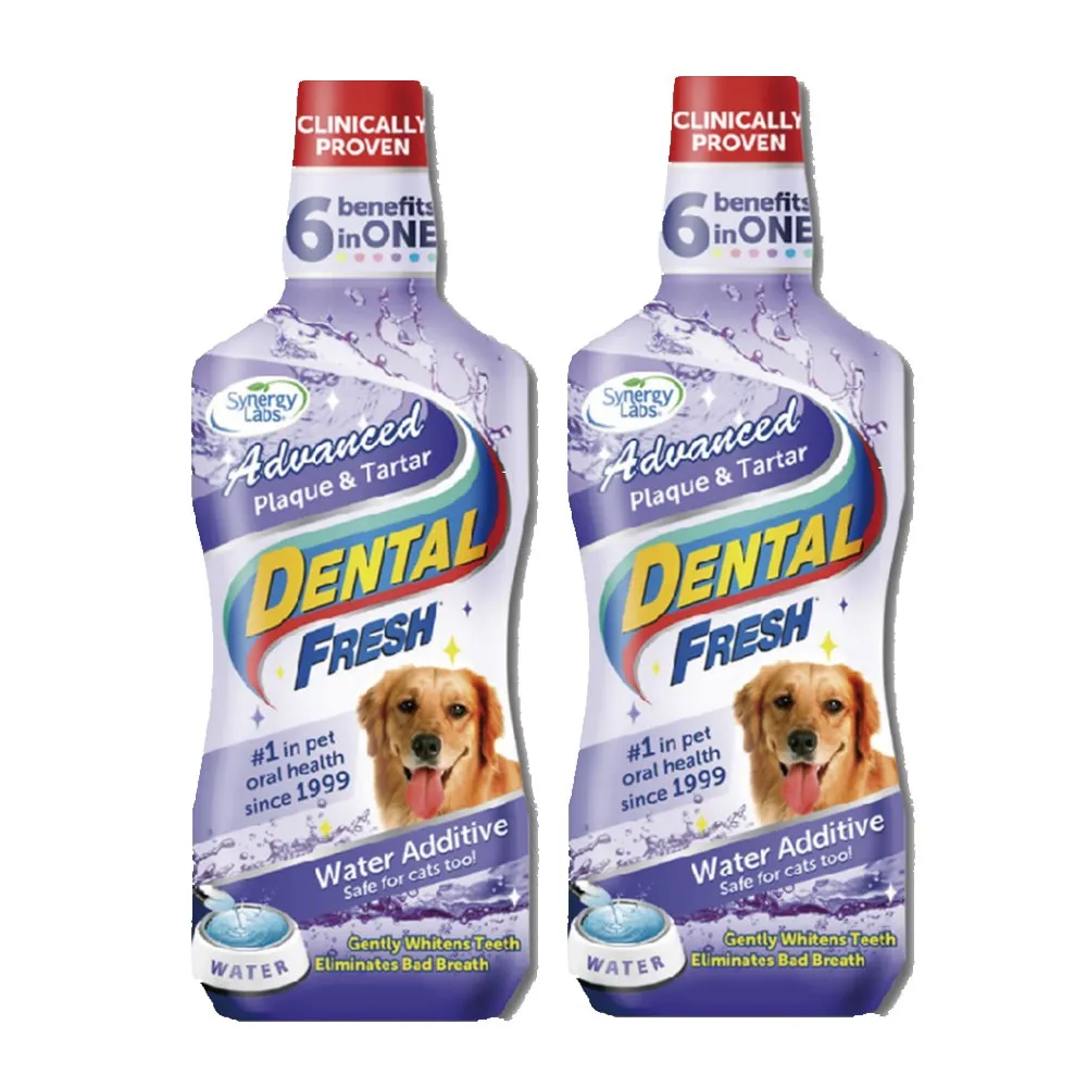 【美國潔牙白Dental Fresh】加強版潔牙液 503ml(2入組)