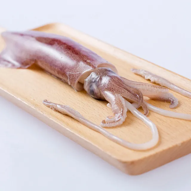 【老張鮮物】澎湖船活凍生小管/小卷  10包組 共40-60隻(300g±10%/包)