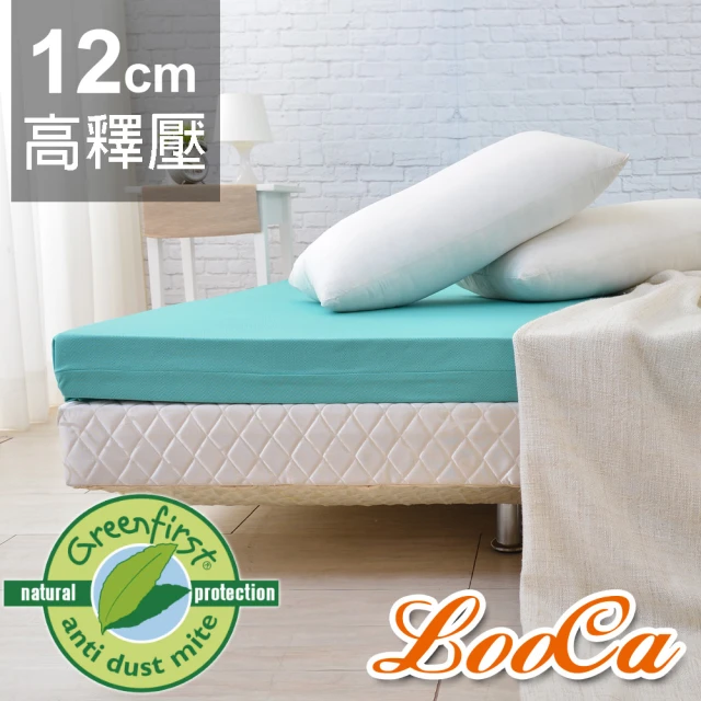 【LooCa】頂級12cm防蹣+防蚊+超透氣記憶床墊(單人3尺)