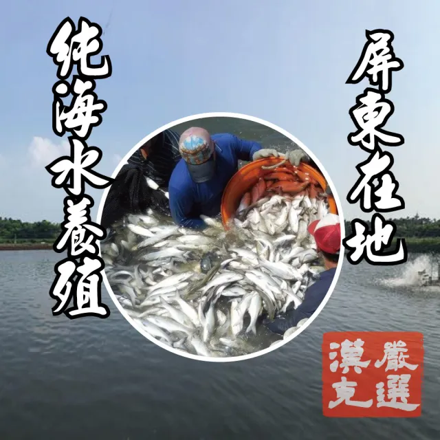 【漢克嚴選】2尾-屏東午仔魚一夜干(200g±10%/尾)