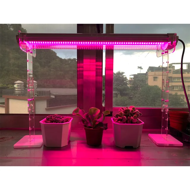 【JIUNPEY 君沛】2呎 25W 紅藍光譜植物燈管 防水型雙排燈芯設計(植物生長燈 三防燈)