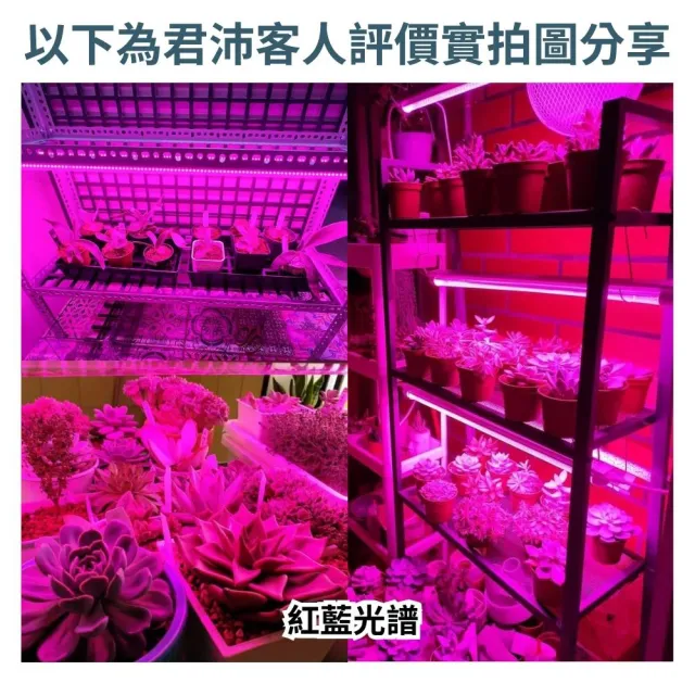 【JIUNPEY 君沛】3呎 40W 紅藍光譜植物燈管 防水型雙排燈芯設計(植物生長燈 三防燈)