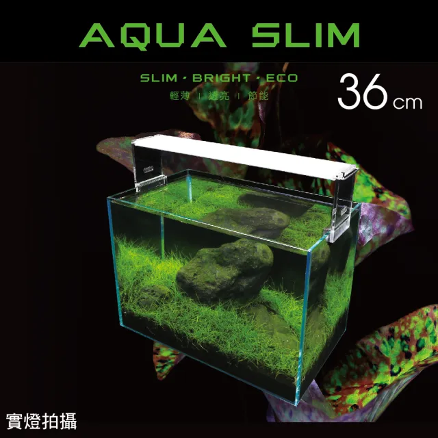 【ISTA】高透光36cm水草燈(超薄型)