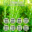 【Ausgarden 澳維花園】迷迭香精油50ml(提振精神好幫手 時刻充滿活力)