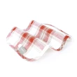 【Gennies 奇妮】英倫揹帶口水巾2入-紅白(肩帶口水巾 雙面可用 輕量氣墊揹帶通用)