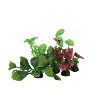 水族魚缸裝飾品 仿真水小草(多款造型)