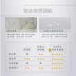 【ISHUR伊舒爾】超防水透氣床包保潔墊-加大三件組含枕套(台灣製造/3M專利技術/多項SGS認證)
