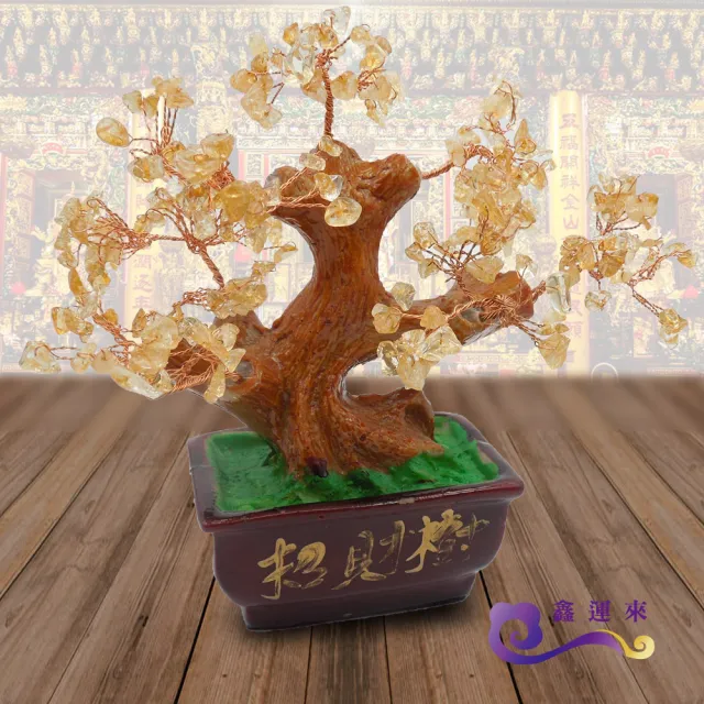 【鑫運來】招福好運青玉貔貅組(諭方老師加持)