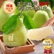 【花蓮鶴岡王家】50年老欉文旦5斤x1箱(5-8顆/箱 SGS認證 中秋送禮 企業團購 揪團 文旦 柚子)