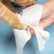【pidan】貓狗專用濕紙巾-改版翻蓋款 80抽 超值6包入 寵物 環境 家庭款(寵物清潔護理用品)
