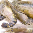 【段泰國蝦】屏東鮮凍泰國蝦特級3包入(600g±5%/包)