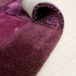 【山德力】ESPRIT 地毯 紫淵 70X140CM(紫色 客廳 書房  起居 生活美學)