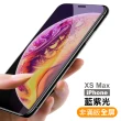 iPhone 6 7 8 plus SE X XR XS XSMax 保護貼手機藍光9H玻璃鋼化膜(保護貼)