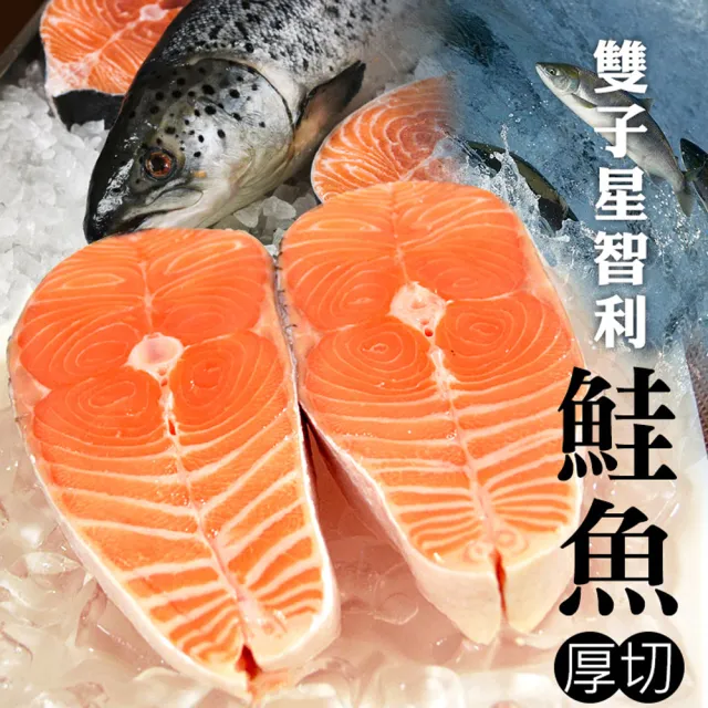 【大食怪】鮮美智利鮭魚切片6片組(300g/片)