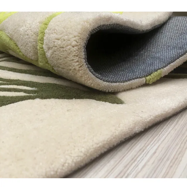【山德力】ESPRIT Lakeside地毯 ESP-3101-01 200X300cm(德國品牌 葉子 綠色 生活美學)