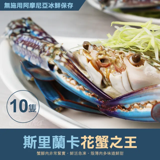 【優鮮配】巨無霸斯里蘭卡公花蟹10隻(350-400g/隻)