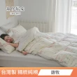 【翔仔居家】台灣製 100%精梳純棉 雙人兩用舖棉被套/四季被-多款任選(6x7)