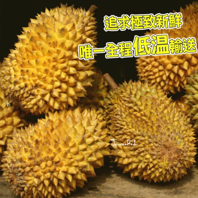 【台灣紅】泰國空運金枕頭榴槤10Kgx1箱(3-4顆裝/10Kg±10%/箱_唯一全程低溫保鮮配送)