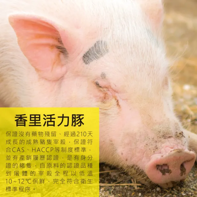 【陳記好味】香里豚鮮蝦鮮肉手工大雲吞-任選(上班族15分鐘早餐好選擇)