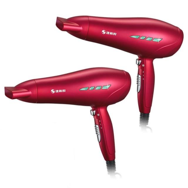 【達新牌】負離子吹風機(TS-2888 超值二入組)