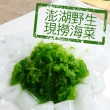 【大食怪】澎湖野生海菜5盒組(300g/包)