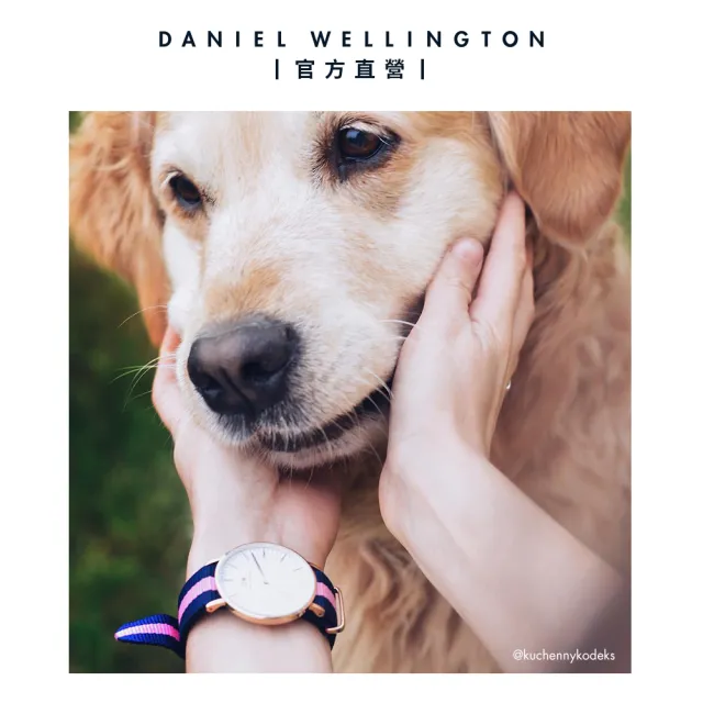 【Daniel Wellington】DW 錶帶 Classic Winchester 18mm 粉藍織紋錶帶(DW00200033)