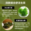 【會呼吸的菜】台灣綜合水耕鮮菜150g±5%x2盒+贈沙拉醬2包