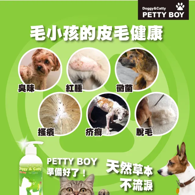 【Petty Boy】有機茶樹精油清爽驅蚊洗毛精300ml*6入(貓狗可用！)