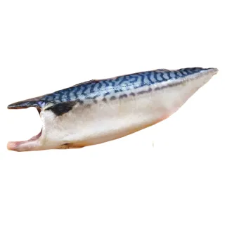 【池鮮生】XL超厚切挪威薄鹽鯖魚片15片組(170g-200g/片/純重無紙板)