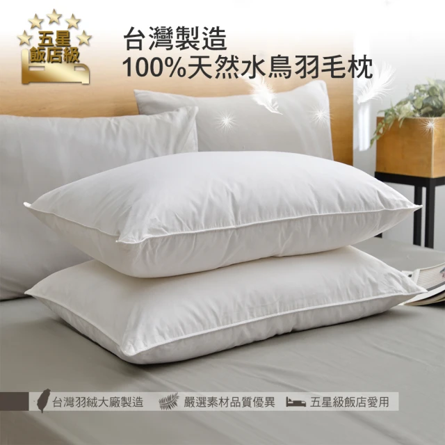【Aibo】五星飯店級台灣製造100%天然水鳥羽毛枕(2入)