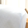 【寶松ROYALCOVER】皇家人體工學型天然乳膠枕(10cm/2入)