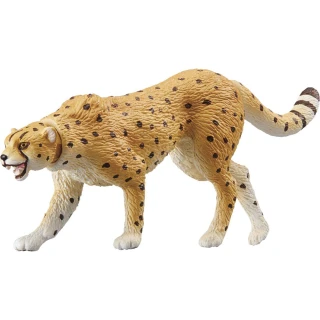 【TAKARA TOMY】ANIA 多美動物 AS-13 獵豹 野生版(男孩 動物模型)