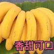 【水果達人】高雄旗山頂級超Q甜香蕉禮盒10斤x1箱(香蕉)