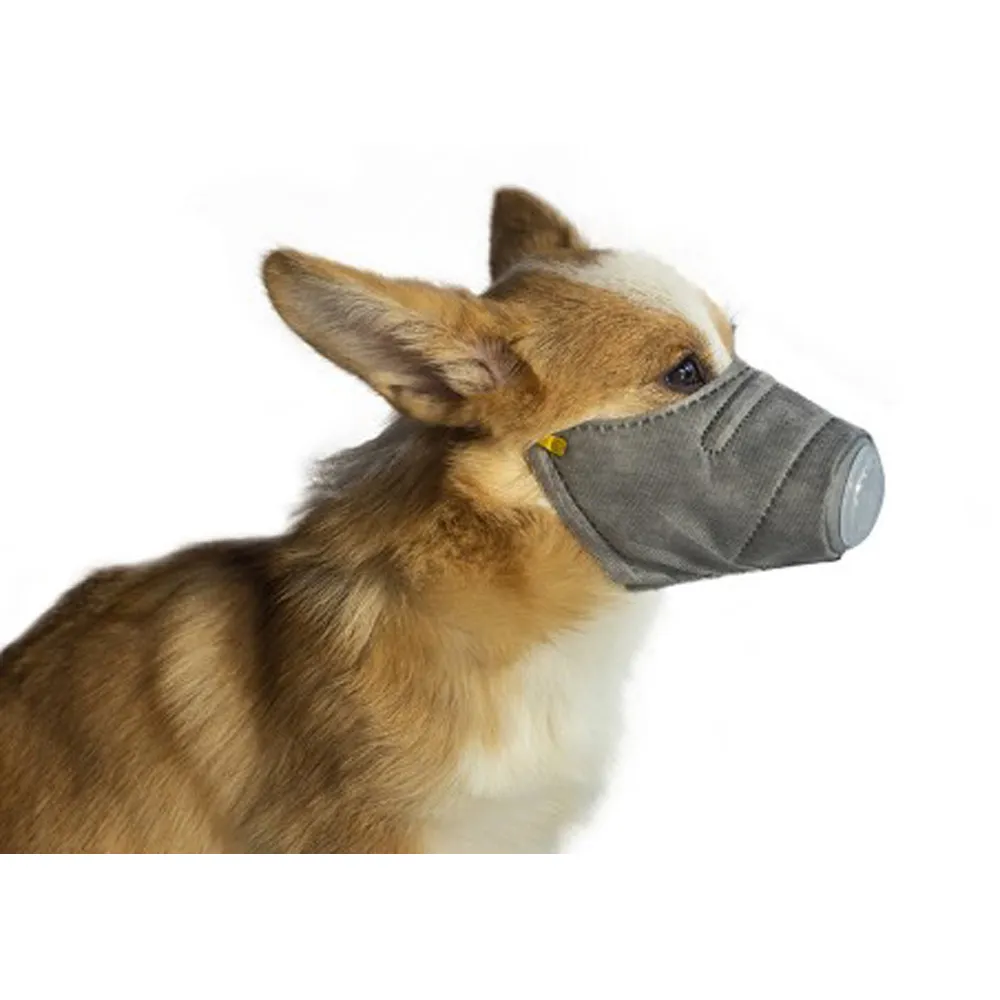 【ROYALLIN 蘿林嚴選】寵物狗狗外出專用防病毒口罩3入(口罩 寵物 寵物外出用品)