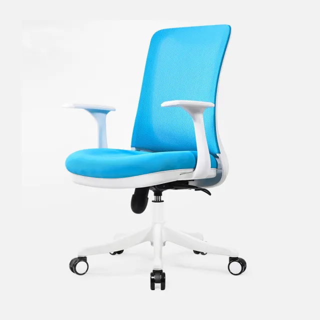 【Ashley House】Aaron T系列- 5大功能防護奈米機能人體工學電腦椅(3色可選)