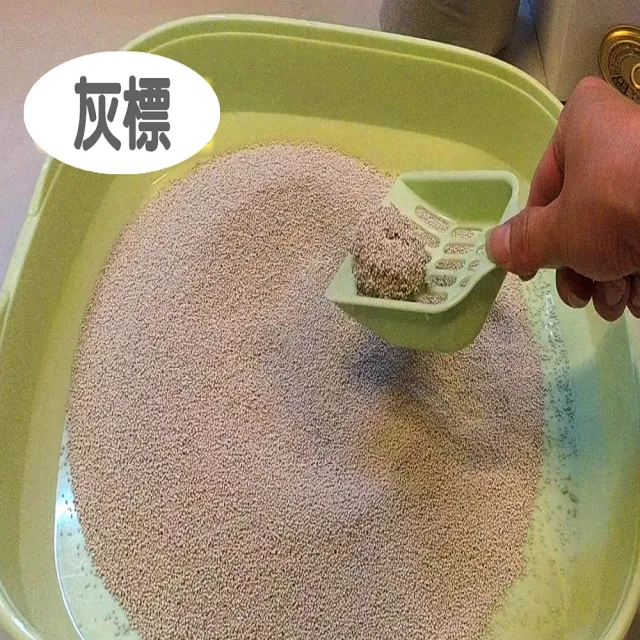 【國際貓家】灰標經濟組25KG(急速凝結小球貓砂)