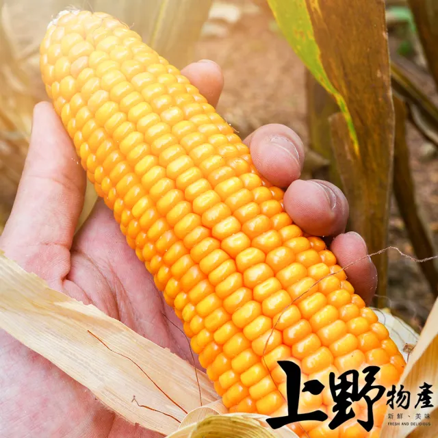 【上野物產】台灣產 香甜金黃玉米粒5包(1000g/包 素食)